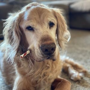 Meet your Posher, Tyler